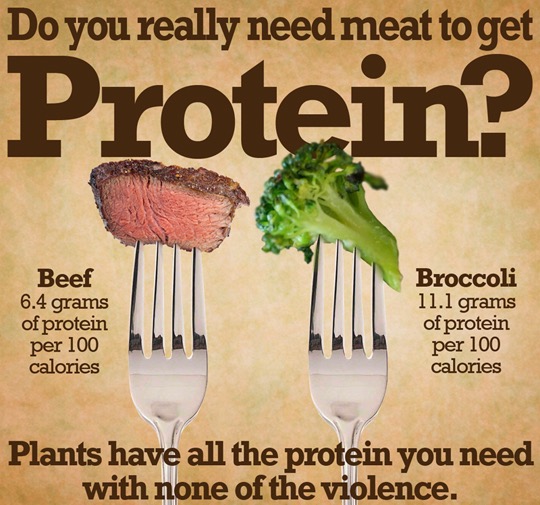 beef+broccoli vegan_Fotor