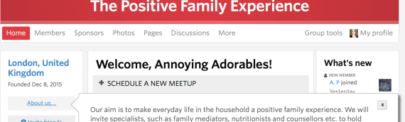 The Positive Family Experience